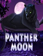 slot 66winner55 โปร โม ชั่ น ทดลองเล่น กับ Spade Gaming